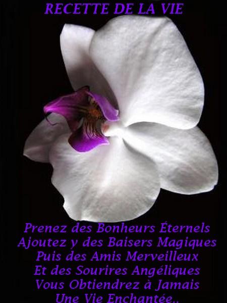 salut