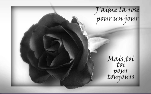 la  rose